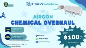 new cool new promotion in 2024